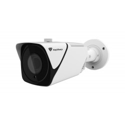 IP Камера 2MP булет 5-50 mm IR-40m - Raysharp RS-CH228M2V-EDF-A0550PW